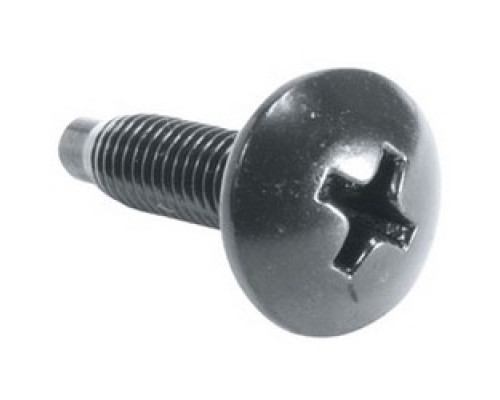 MIDDLE ATLANTIC PRODUCTS  HG   Rackscrews, 10-32, Black Gloss, 100 pc.