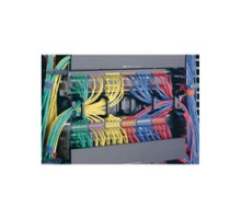 PANDUIT  CMPH2   OAdringCBL MGMT FRT+BCK 2RU 19x9x3in EA