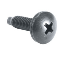 MIDDLE ATLANTIC PRODUCTS  HP   Rackscrews, 10-32, Truss-Head, 100 pc.