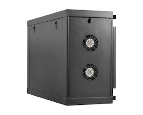 TRIPP LITE  SRW6USM   Eaton Tripp Lite Series SmartRack 6U Low-Profile Side-Mount Wall-Mount Mini Rack Enclosure, Black