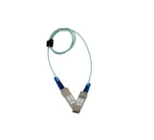 PROLABS  QSFP28-100G-AOC-1M      Generic Compatible 100G QSFP28 Active Optical Cable 1m