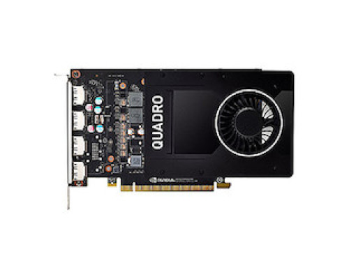 IONODES SKV-GFX-P2000        SKYVIEW workstation graphics card upgrade to NVIDIA Quadro P2000 4 outputs . Compatible with SKV-T4 and T5 models