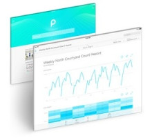 PRISM SKYLABS PV-P-150-1   Prism Professional Pro Platinum P-1
