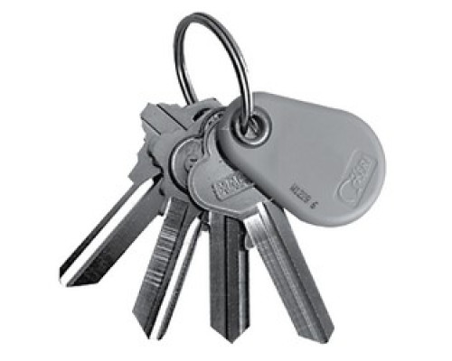 KERI SYSTEMS  NXT-K50      Proximity Key Tag, 50/Pack