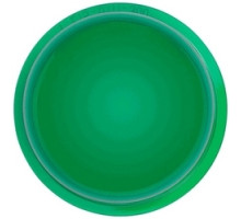 SYSTEM SENSOR  LENS-GC2      Audible Visible Lens, Indoor, Ceiling Mount, -35 to 151F, Green