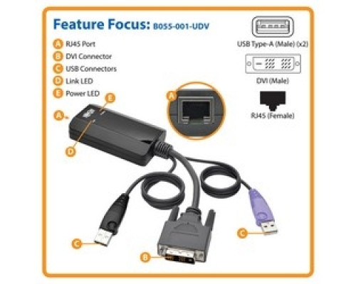 TRIPP LITE B055-001-UDV   NetDirector DVI USB Server Interface Unit with Virtual Media and CAC Support B064-IPG Series , USB and DVI