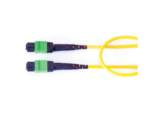 BELDEN FPSMFMF002M        12-F FX PATCH CORD OS2 OFNP MPO F -MPO F TYPE B 2MT  YELLOW, NO EYE