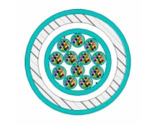 BERK-TEK  PDPK006EB3010/25-I/O-C4C5AQU               6-F 50/125 TB OFNP Armored 3.0/1.0 Db/Km 2000/500 Mhz*Km Gigalite-10G