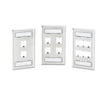 PANDUIT  CFPL4S-2GY               Faceplate 4Pt DblGang Classic S-Steel EA