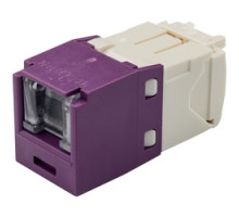 PANDUIT  CJH688TGVL               Spring Shuttered Jack Cat6 VL EA