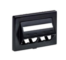 PANDUIT  CFFPEBSL4BL               FurnitureFaceplate 4Port HM Sloped BL EA