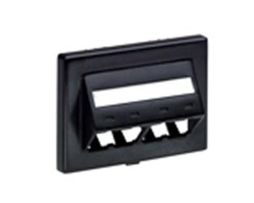 PANDUIT  CFFPEBSL4BL               FurnitureFaceplate 4Port HM Sloped BL EA