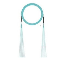 PANDUIT  FXTYPL2L2SAF020               Fiber Optic Trunk Cable Assembly, 12-Count, Indoor, Small Diameter, Plenum Rated, LC/LC, Standard Polarity, OM3 50/125 Micrometer Cable, 20’ Length, Aqua