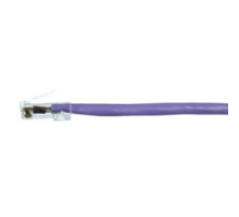 COMPULINK  M88DE20FC610               Patch Cord Modular 24 AWG 4-Pair stranded Category 6 568A/B 20ft Violet