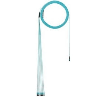 PANDUIT  FXTYP5EL2SAF100               OM3 12-Fiber InSMDiaTrnk 100ft MPOf EA