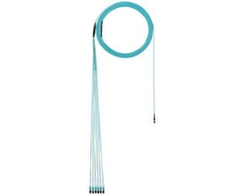 PANDUIT  FXTYP5EL2SAF100               OM3 12-Fiber InSMDiaTrnk 100ft MPOf EA