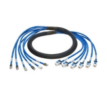 TRIPP LITE N261-006-6MF-BL        Augmented Cat6/Cat6a Pre-Terminated Copper Trunk Bundle, 6x RJ45 M/F , 6 ft.
