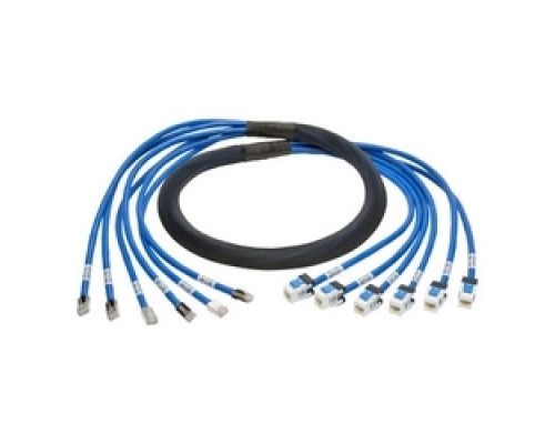 TRIPP LITE N261-006-6MF-BL        Augmented Cat6/Cat6a Pre-Terminated Copper Trunk Bundle, 6x RJ45 M/F , 6 ft.