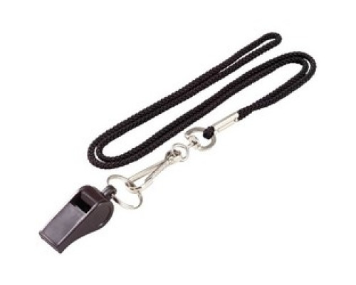 LUCKY LINE PRODUCTS INC  42201               Sports Key Lanyard and Whistle, 23