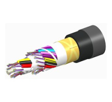 COMMSCOPE ENTERPRISE SOLUTIONS  760086405  760086405              24-F INDOOR/OUT OS2 LT RISER R-024-LN-8W-F12BK/25D     GEL FREE BLACK