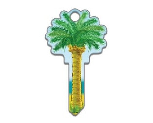 LUCKY LINE PRODUCTS INC  B112S               House Key, Schlage, Palm Tree, Brass, Enamel Coating, 1 each per Card