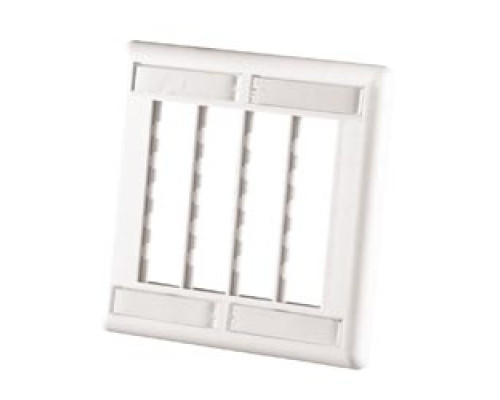 ORTRONICS  40300620               12-PORT FLUSH MOUNT UNLOADED DOUBLE GANG TRACJACK     FOG WHITE