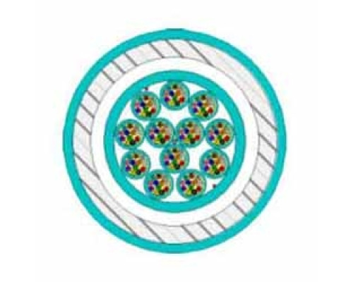 BERK-TEK  PDPK024FB3010/F5-I/O-C4C5AQU               Premises Distribution Cable, Interlocking Armor, Aluminum Interlock, Tight Buffered, Plenum, 24-Fibers, OM4 50/125µm GIGAlite Multimode Fiber, Aqua Jacket