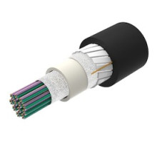 COMMSCOPE ENTERPRISE SOLUTIONS 760239022 Z-288-CN-RR-F12BK/8G1/99G/C       Indoor/Outdoor, All-Dielectric, Low Smoke Zero Halogen LSZH , Riser-Rated, Gel-Free, Central Tube Rollable Ribbon Cable