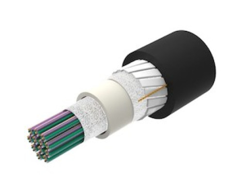 COMMSCOPE ENTERPRISE SOLUTIONS 760239022 Z-288-CN-RR-F12BK/8G1/99G/C       Indoor/Outdoor, All-Dielectric, Low Smoke Zero Halogen LSZH , Riser-Rated, Gel-Free, Central Tube Rollable Ribbon Cable