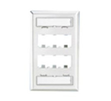 PANDUIT  CFPL6SY               Faceplate 6Pt SglGang Classic S-Steel EA