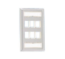 PANDUIT  NKF2S               NK 2Pt SG SS Vert.Faceplate EA