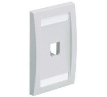 PANDUIT  CFPE1BLY               Faceplate 1Pt SglGang Exec BL EA
