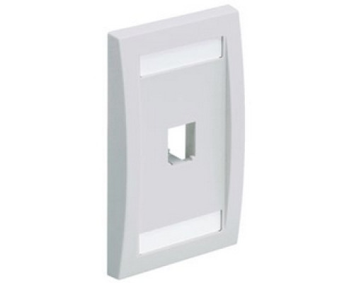 PANDUIT  CFPE1BLY               Faceplate 1Pt SglGang Exec BL EA