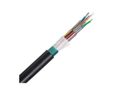 PANDUIT  FSWN924               24 Fiber Cable OS2 Outside Plant Armored 250um
