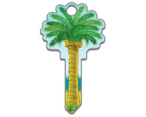 LUCKY LINE PRODUCTS INC  B112K               House Key, Kwikset, Palm Tree, Brass, Enamel Coating, 1 each per Card