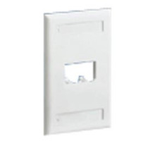 PANDUIT  CFPL2IWY               VertFaceplate 2Prt SglGang Classic IW EA