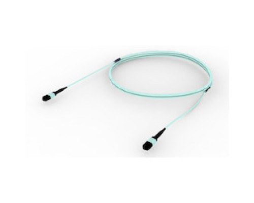 COMMSCOPE SYSTIMAX SOLUTIONS  UGXMXMXAD-MAM006  UGXMXMXAD-MAM006              ULL LAZRSPEED 550 MPO M/MPO M 12F, OM4, PLENUM, 6MT     UGXMXMXAD-MAM006