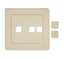 BELDEN  AX100641               4 PORT FACEPLATE UNLOADED, 2 GANG FOR 2-PORT PS5 DVO MOD, NXTOFP4-02 ALMOND