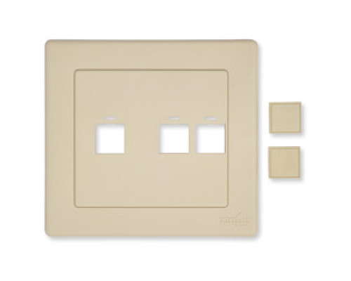 BELDEN  AX100641               4 PORT FACEPLATE UNLOADED, 2 GANG FOR 2-PORT PS5 DVO MOD, NXTOFP4-02 ALMOND