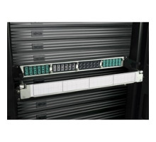 TRIPP LITE N484-12M24        100Gb/120Gb Pass-Through Cassette - x12 24-Fiber MTP/MPO  Female