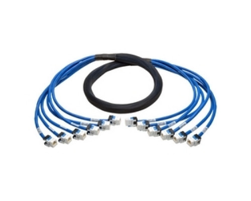 TRIPP LITE N261-010-6FF-BL        Augmented Cat6/Cat6a Pre-Terminated Copper Trunk Bundle, 6x RJ45 F/F , 10 ft.