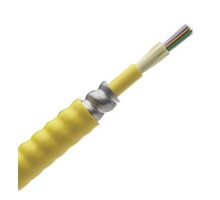 PANDUIT  FOPPX24Y               Fiber Ind Armd Cable OFCP OM3 24 Fibers