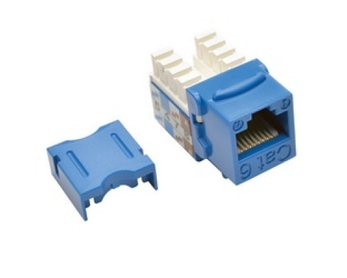 TRIPP LITE  N238-001-BL               Cat6/Cat5e 110 Style Punch Down Keystone Jack - Blue, TAA
