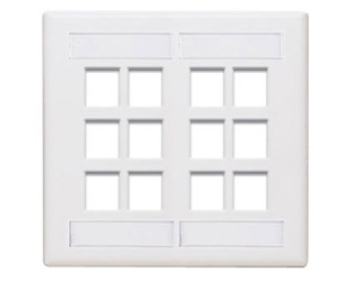 LEVITON  42080-12W               QuickPort Wallplate with ID Window, Dual Gang, 12-Port, White