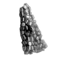 KABA ILCO CORP  3800-00-3200               Interchangeable Core Pin, Bottom, Tumbler, 0A Size, 0.107