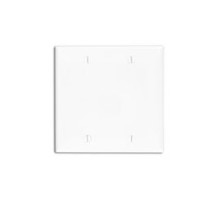 LEVITON  80725-I               2-gang No Device Blank Wallplate, Box Mounted, Ivory