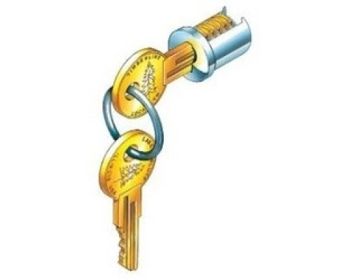 TIMBERLINE  C100LP-100T-14A               Lock Plug, 100T Key Code, Polished Nickel, For D300KY Key Blank, 25 each per Case