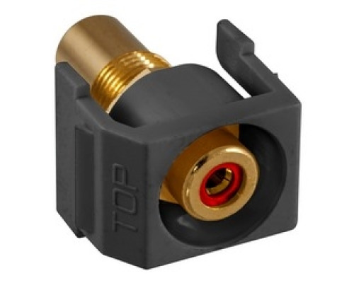 HUBBELL PREMISE WIRING  SFRCRRBK               Recessed RCA Connector, Red Insulator,Black Housing