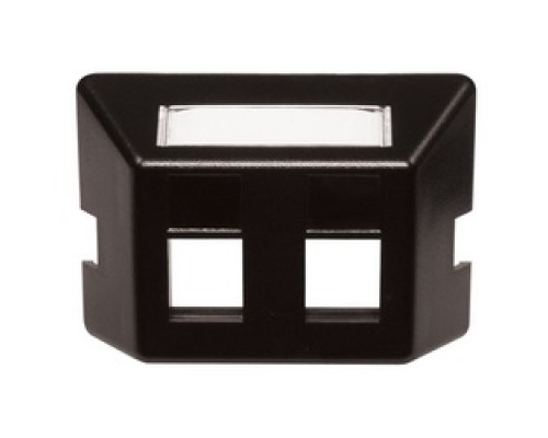 HUBBELL PREMISE WIRING  FP2BK               Plate, Furniture, Std, 2Port, Black