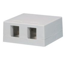NORTHERN  NSMB2WH               Suface Mount Box 2 Port White